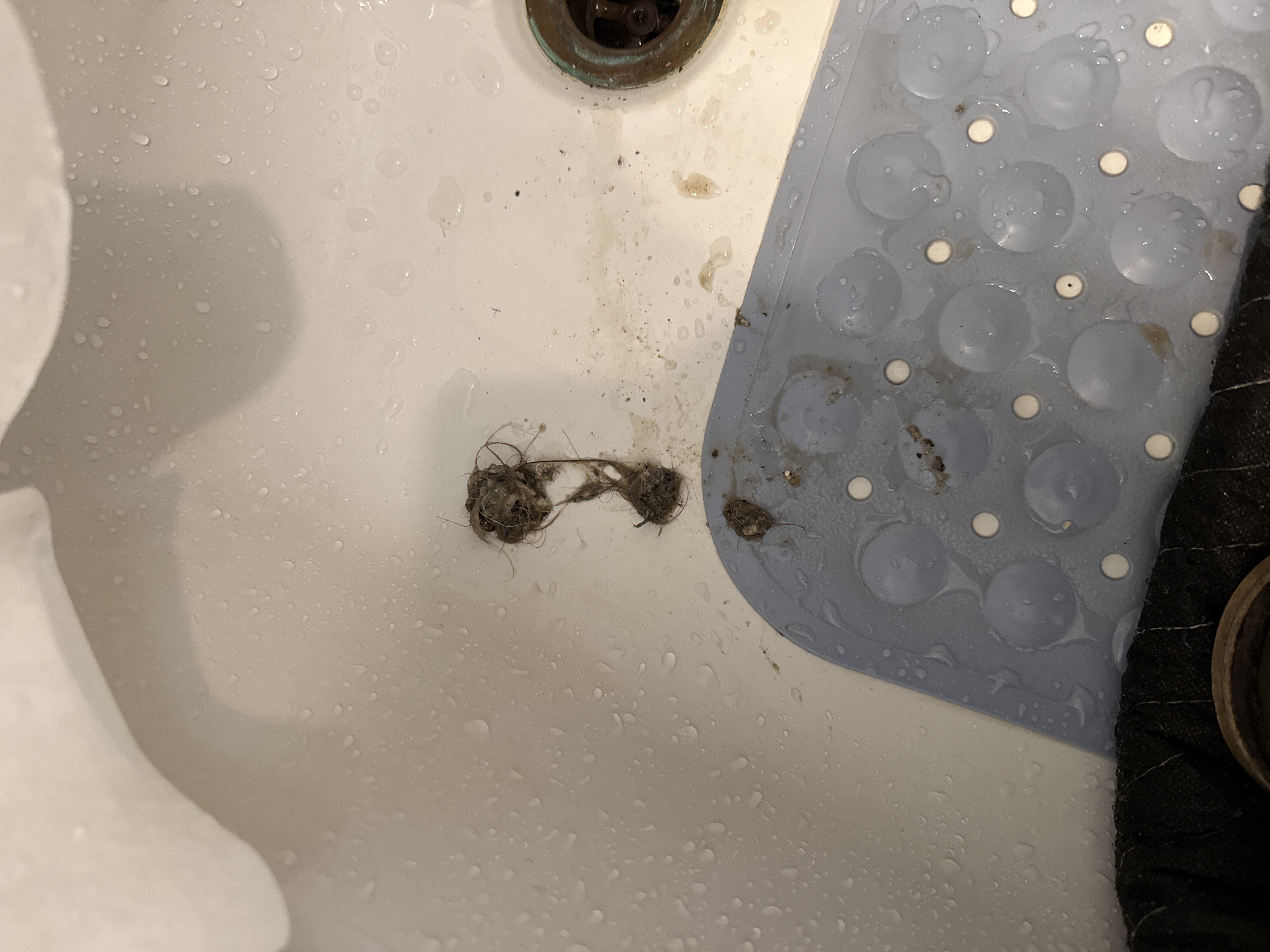 Drain cleaning in San Francisco